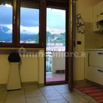 Rent 2 bedroom apartment of 50 m² in Belvedere Marittimo