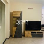 Rent 3 bedroom apartment of 112 m² in Číhošť