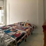Alquilar 8 dormitorio apartamento en Córdoba
