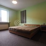Rent 4 bedroom apartment of 120 m² in Cracow