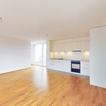 Rent 4 bedroom apartment of 87 m² in Zurich