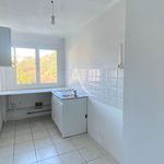 Rent 3 bedroom apartment of 55 m² in Nice