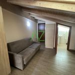 Affitto 1 camera appartamento di 38 m² in Cremona