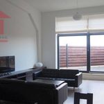 Rent 1 bedroom apartment of 113 m² in Legnica