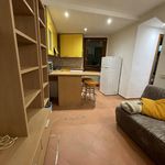 Rent 2 bedroom apartment of 39 m² in Venezia