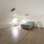 Rent 2 bedroom apartment in Visé