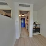 Rent 1 bedroom apartment of 28 m² in Bizanos