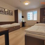Rent 2 bedroom apartment of 46 m² in Plzeň