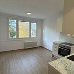 Rent 1 bedroom apartment of 37 m² in Humpolec