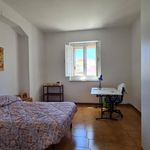 Affitto 3 camera appartamento di 80 m² in Catanzaro