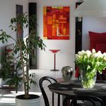 Rent 2 bedroom apartment of 55 m² in Kerpen