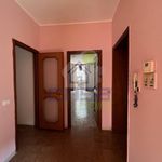 Rent 1 bedroom apartment of 80 m² in Cremona