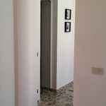 Rent 1 bedroom apartment of 70 m² in Torino
