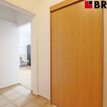 Rent 2 bedroom apartment of 40 m² in Brno