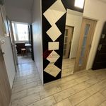 Rent 3 bedroom apartment of 54 m² in Kielce