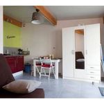 Rent 1 bedroom house of 20 m² in Montpellier