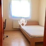 Rent 5 bedroom apartment in Debrecen