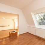 Rent 1 bedroom house of 300 m² in Prague