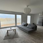 Rent 1 bedroom apartment in SAINT-SEBASTIEN-SUR-LOIRE