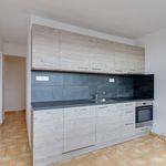 Rent 3 bedroom apartment in Sluštice