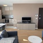 Najam 1 spavaće sobe stan od 64 m² u Rijeka