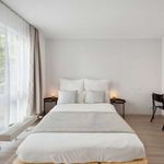 Rent a room of 120 m² in frankfurt