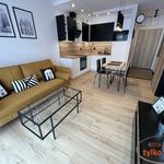 Rent 2 bedroom apartment of 38 m² in Skórzewo