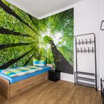Miete 2 Schlafzimmer wohnung von 45 m² in Dresden