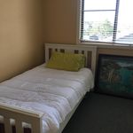Rent 1 bedroom house in Newcastle