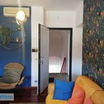 Rent 2 bedroom apartment of 45 m² in Giulianova