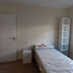 Alquilo 4 dormitorio apartamento de 128 m² en Jaén