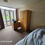 Rent 1 bedroom student apartment in   Hatfield
