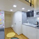 Rent 1 bedroom apartment in Praha 3