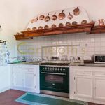 Rent 5 bedroom house of 700 m² in Florence