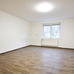 Rent 1 bedroom apartment in Mladá Boleslav