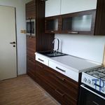Rent 3 bedroom apartment of 64 m² in Libřice