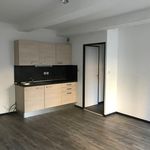 Appartement de 38 m² avec 2 chambre(s) en location à Vienne