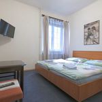 Pronajměte si 1 ložnic/e byt o rozloze 35 m² v Velké Hamry