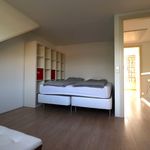 Rent 5 bedroom apartment of 159 m² in Rotterdam