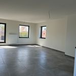 Rent 1 bedroom apartment in Buggenhout