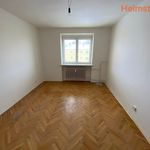 Rent 2 bedroom apartment of 47 m² in Hlučín