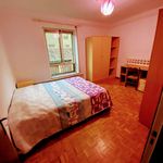 Alquilar 6 dormitorio apartamento en León
