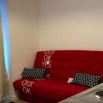 Rent 1 bedroom apartment of 21 m² in Issy-les-Moulineaux