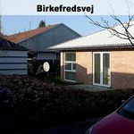 Rent 3 bedroom house of 83 m² in Brovst