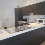 Rent 1 bedroom apartment of 100 m² in Etterbeek