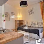 Rent 1 bedroom apartment of 18 m² in Saint Martin D Heres