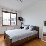 Rent 3 bedroom apartment of 82 m² in Wilanowskie