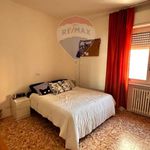 Rent 2 bedroom apartment of 64 m² in Parma