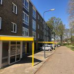 Rent 1 bedroom apartment of 60 m² in Sittard
