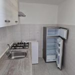 Rent 1 bedroom apartment of 25 m² in Roma